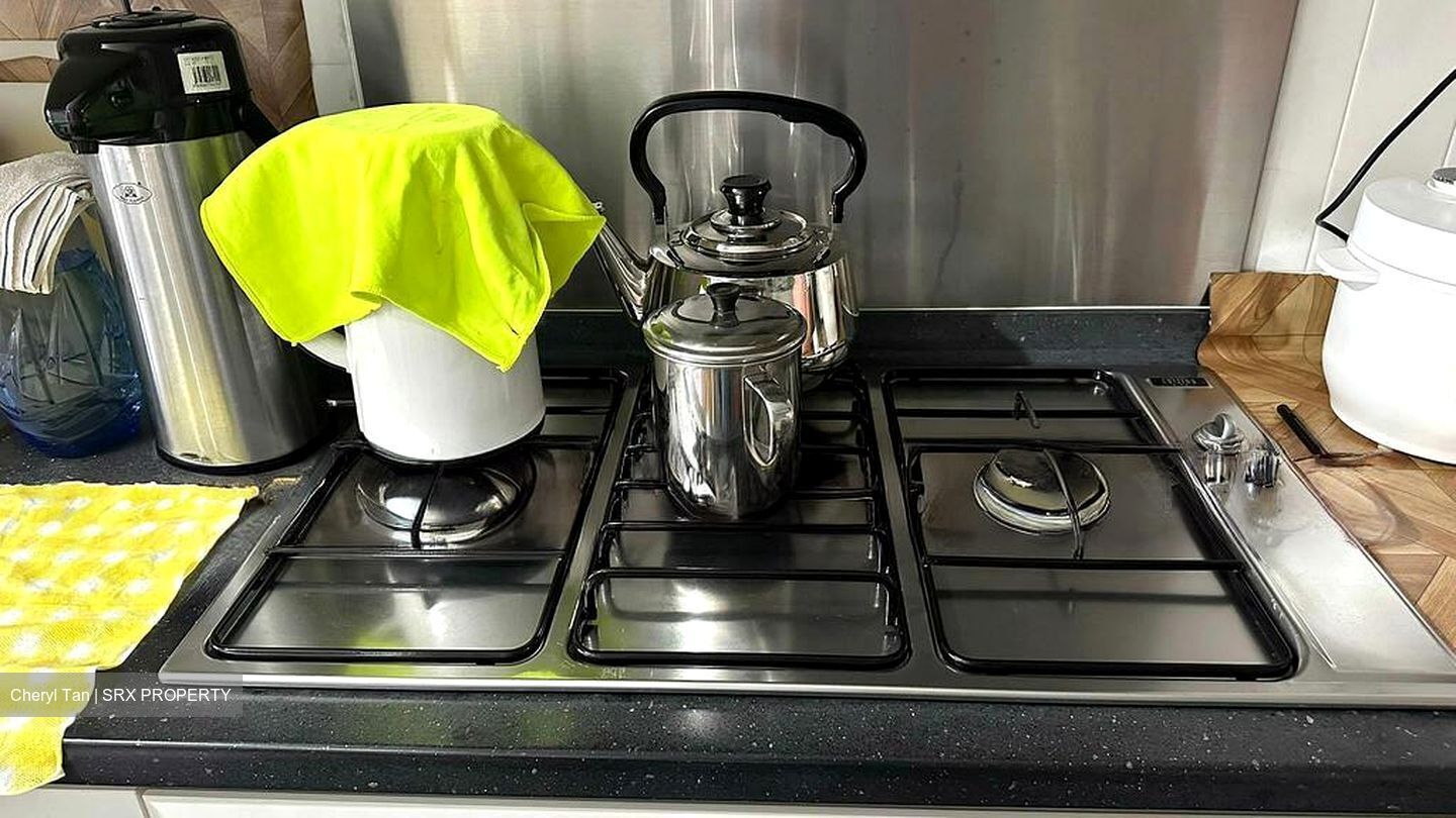 Blk 10 Rumah Tinggi View (Bukit Merah), HDB 4 Rooms #504866091